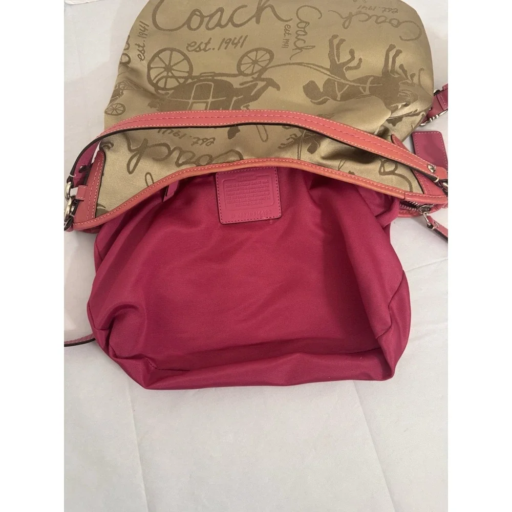 Coach horse carriage